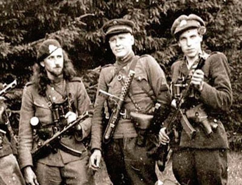 Как был дан отпор  подполью националистов в Советской Литве