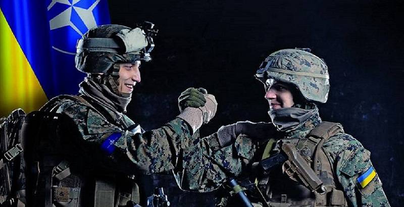 «Войны третьего тысячелетия»: для чего НАТО нужна Украина