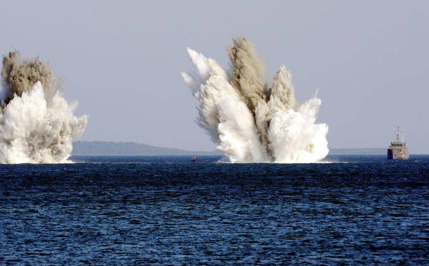 Учения НАТО на Балтике: пока гибнут морские животные. А завтра?