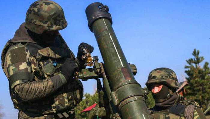 Радикалы «Нацкорпуса» пытались доставить в Киев тяжелые минометы «Молот»