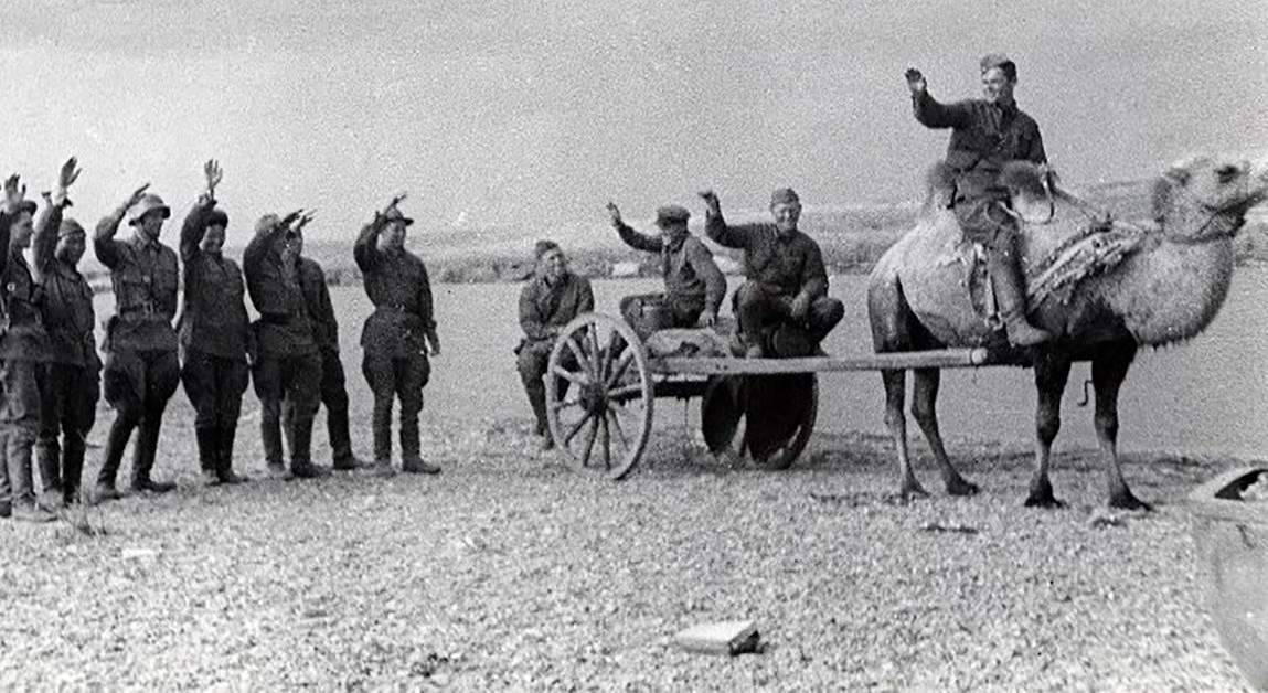 Наш советский верблюд покарает!