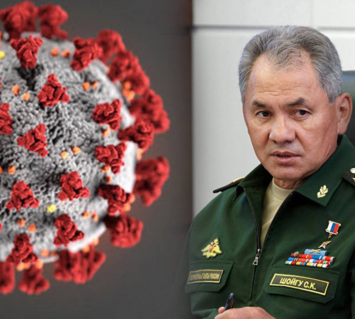 В армии коронавируса нет - комментарии Шойгу, последние новости