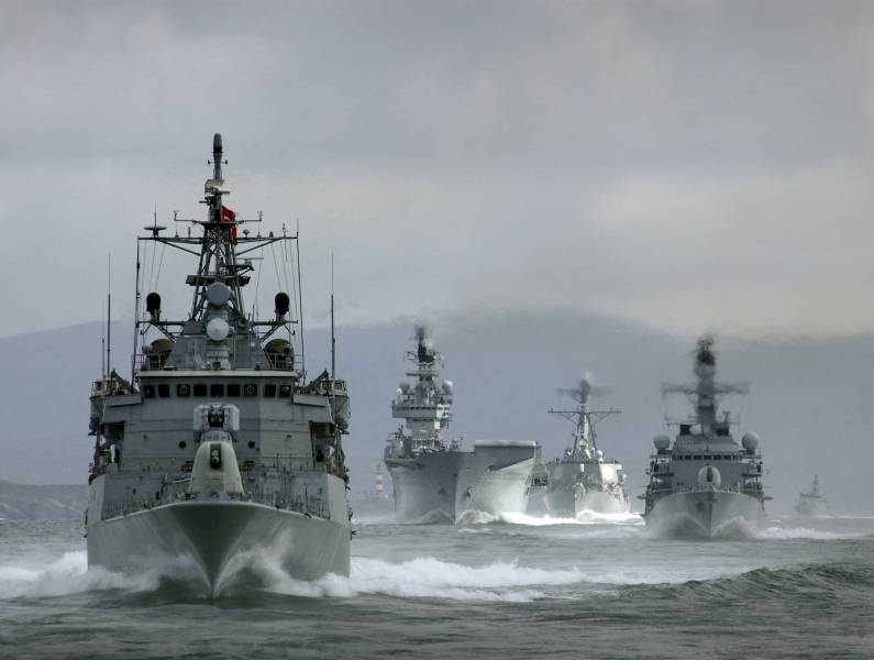 Корабли НАТО в погоне за российскими подлодками погубили стаю китов
