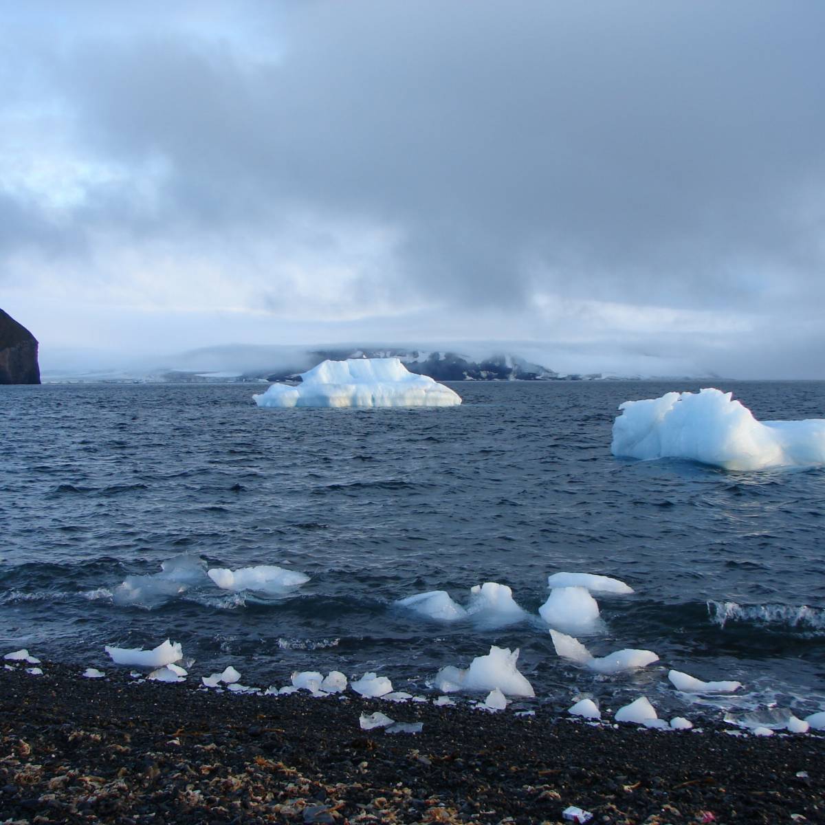 Минобороны России сделает ставку на беспилотную технику в Арктике