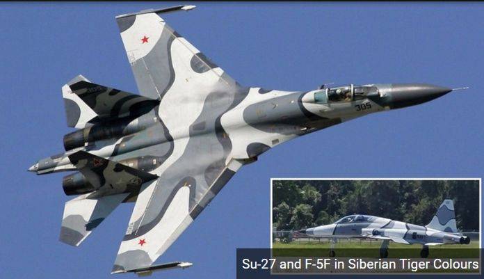 Сибирский тигр: истребитель США перекрасили под Су-27