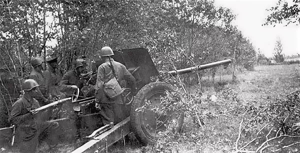 Ркка июнь 1941 г. 76 Мм пушка противотанковая обр 1936. 76мм пушки РККА. 76 Мм пушка ВОВ. Батарея 76 мм пушек ВОВ.