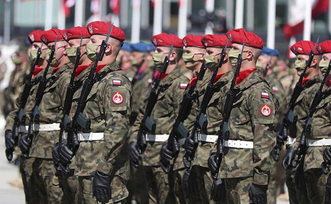 Пан и в Идлибе пан: Зачем польские жолнежы идут на службу к Эрдогану