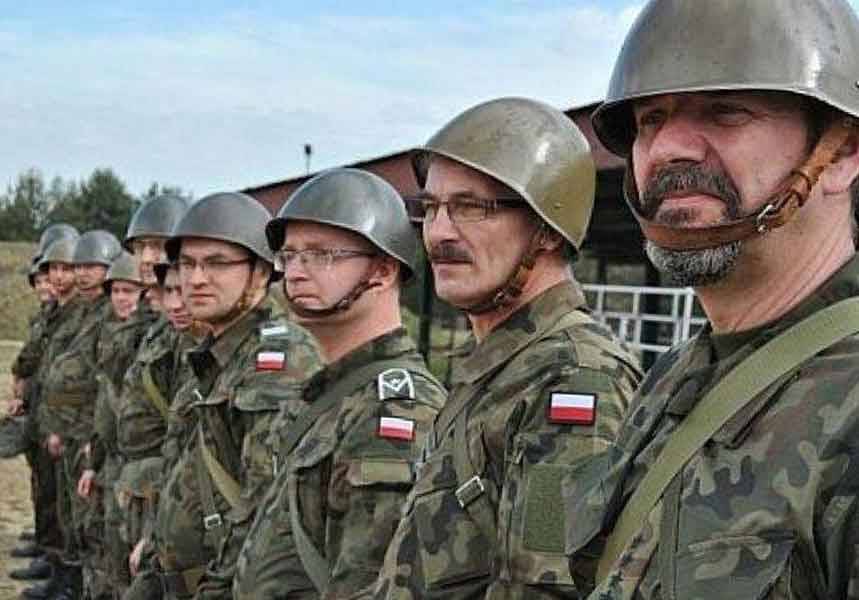 Какова реальная боевая сила войск территориальной обороны Польши?