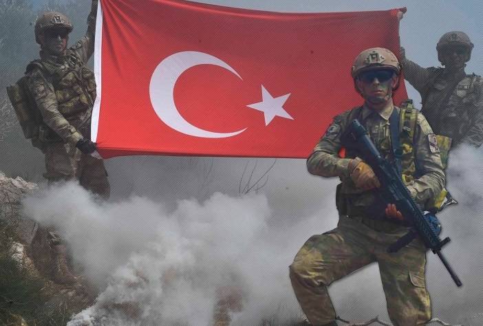Турция хочет решить свои проблемы единой «пантюркистской армией»