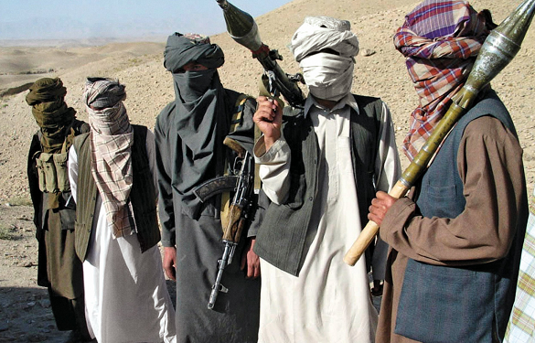 Талибы убили сотрудников сапёрной компании – сводка боев в Афганистане