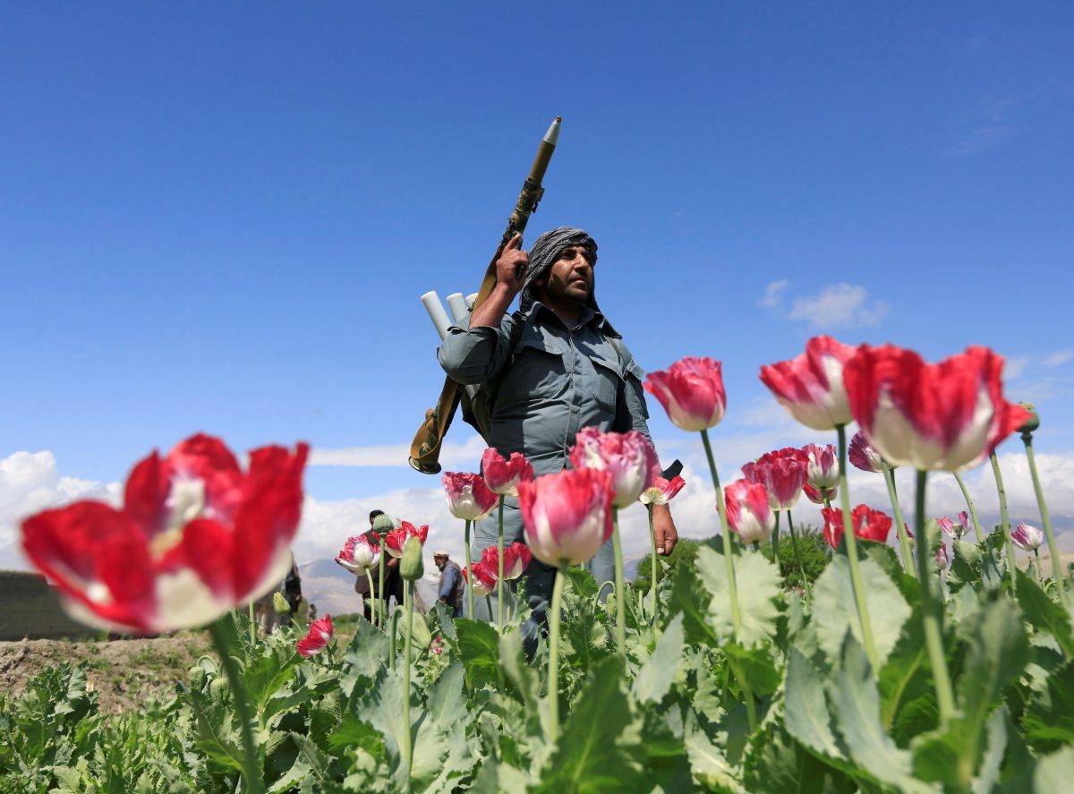 Центральная Азия: как остановить экспансию талибов?