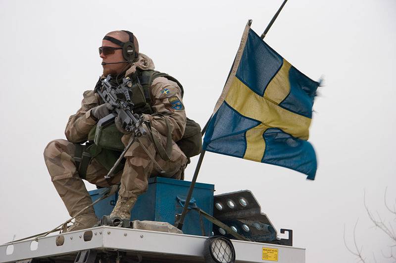 На пути к новой Полтавской битве. Зачем шведам Украина?