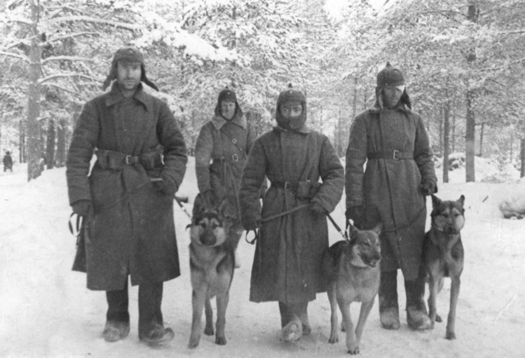 Геополитика советско-финляндской войны 1939-1940 гг.