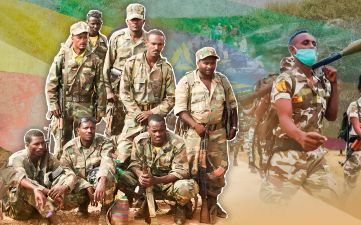 Как армия Эфиопии отбила у сепаратистов большую часть территории страны