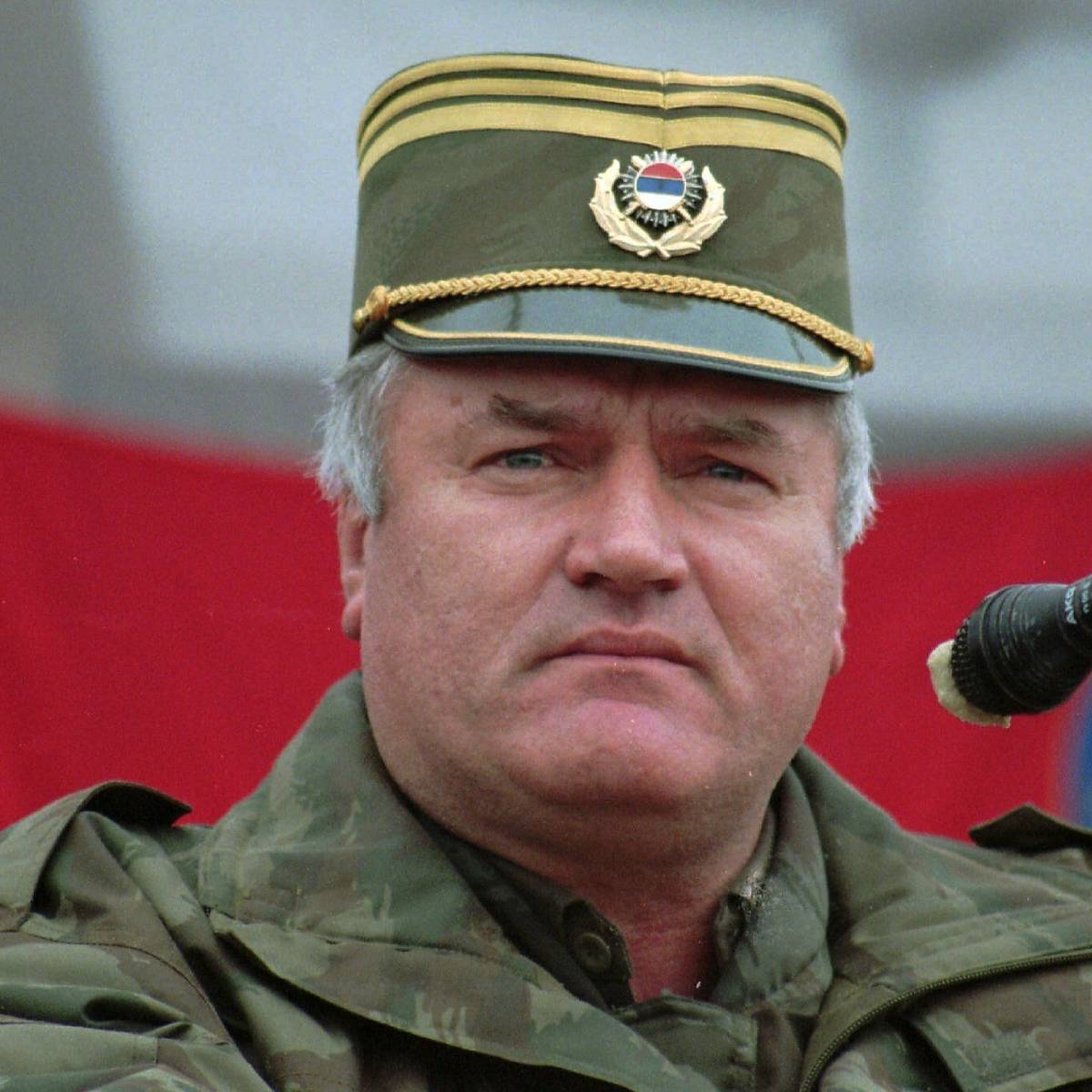 Письма сербского генерала Младича в Россию из застенок Гааги