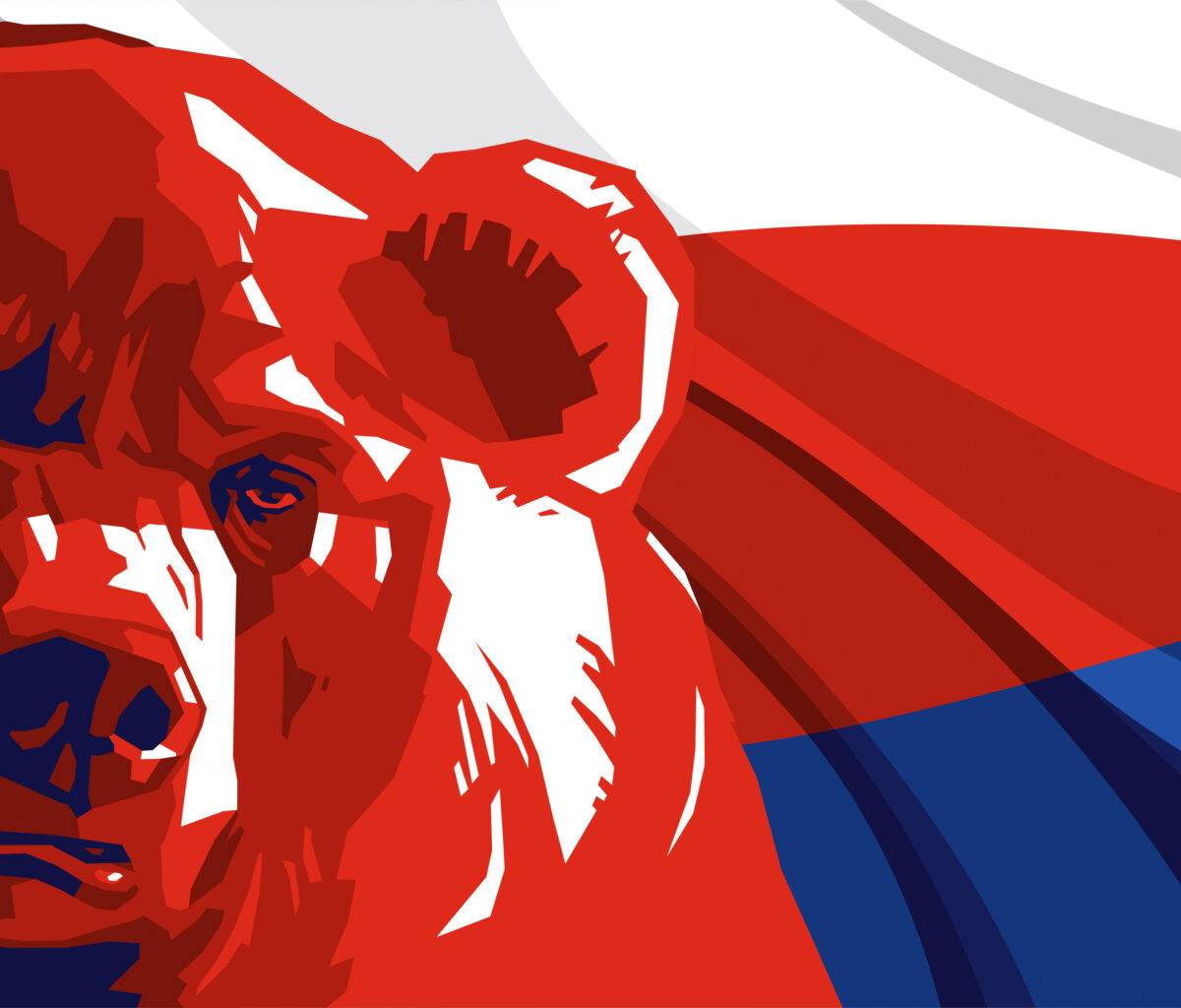 Во Франции испугались «русского медведя» после удара ВСУ по Макеевке