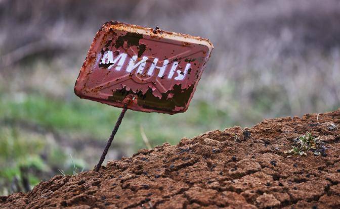 Украина готовится к рекордному урожаю с минных полей