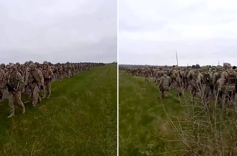 Готовятся к наступлению: в Сети появилось видео с тысячами украинских военных