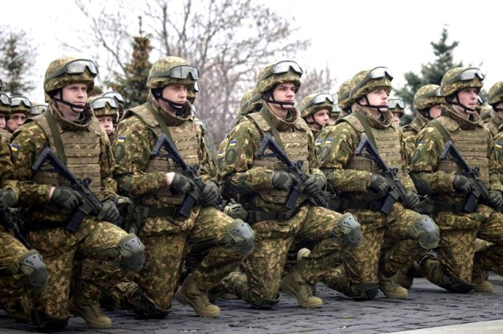 12 бригад боевых геев-украинцев: во что превратились ВСУ
