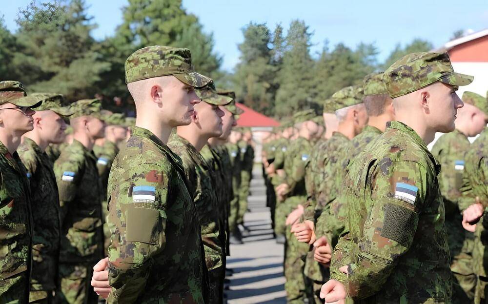 «Змеиные слова» – Эстония выстраивает территориальную оборону от России