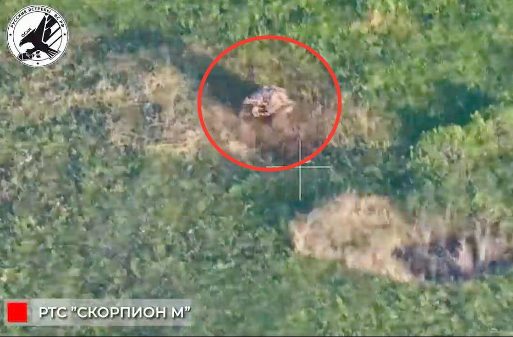 Робот-луноход «Скорпион М» уничтожил опорный пункт ВСУ в Красногоровке