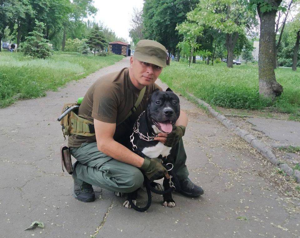 Псы войны: эксклюзивное интервью с кинологом о подготовке боевых собак