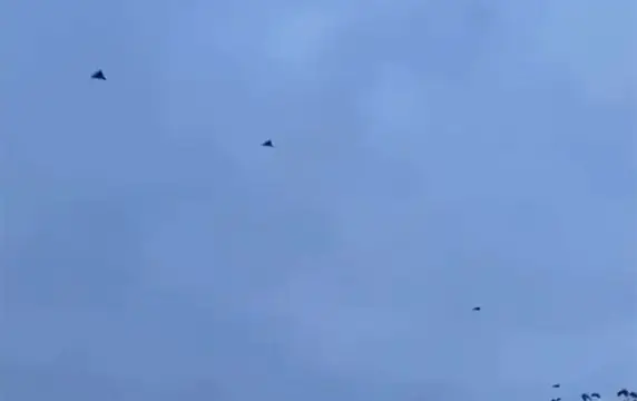 Появилось видео пролета группы из семи "Гераней"