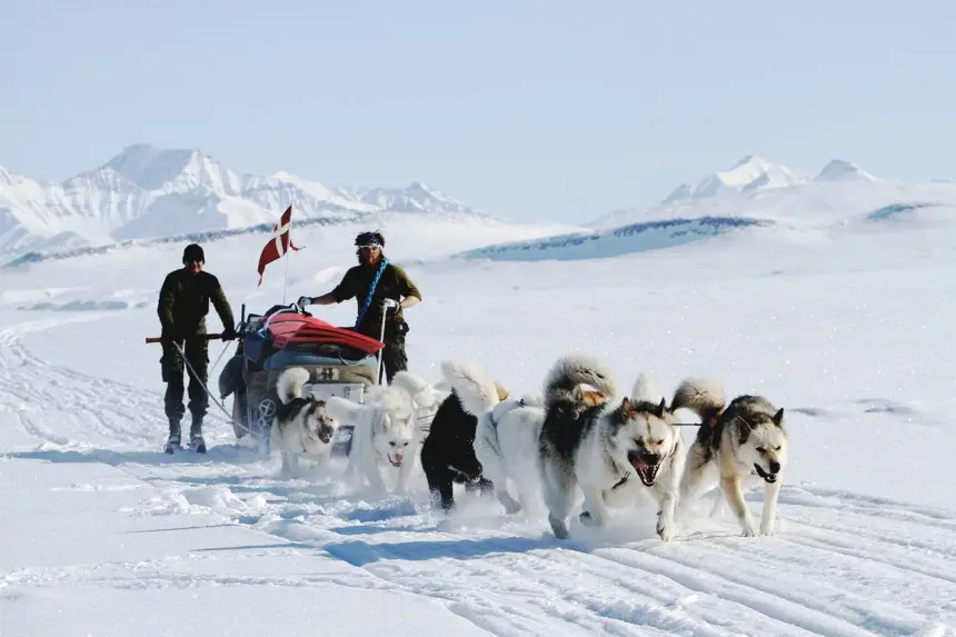 Какой будет встреча бундесвера и американской армии в Гренландии