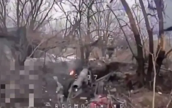 Операторы дронов уничтожили редкую легкую итальянскую легкую горную гаубицу