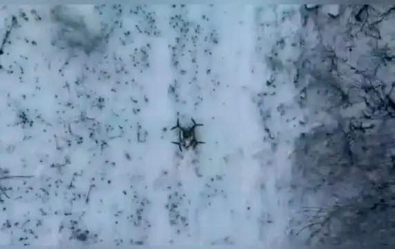 Украинского летающего ждуна уничтожили сбросом гранаты