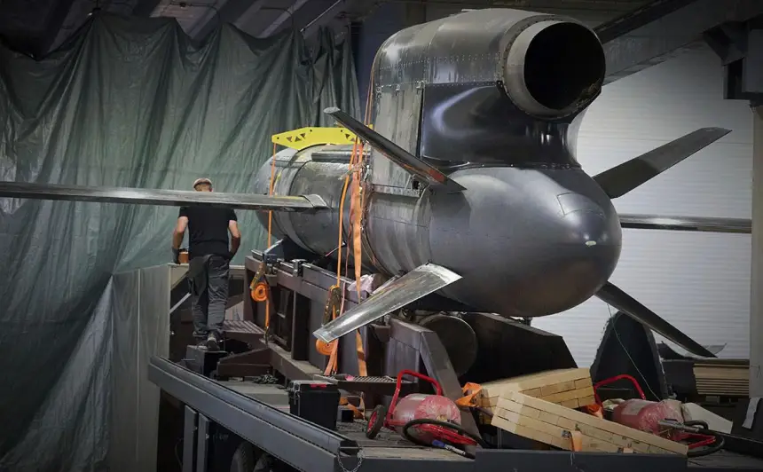 Чем нам грозит «Фламинго» – экзотическая птица в курятнике ВСУ