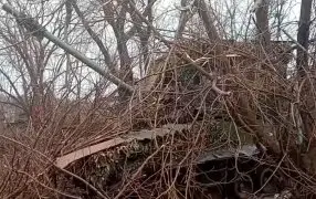 Участвующие в СВО самоходки 2С31 