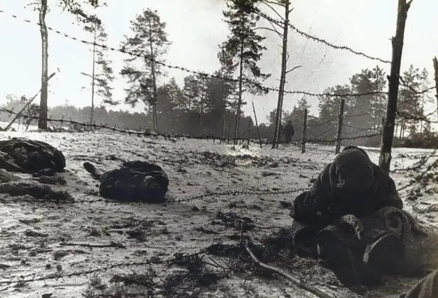 Великая Отечественная война: страшная история концлагеря Озаричи