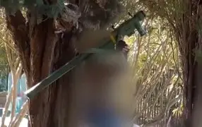 Израильского 