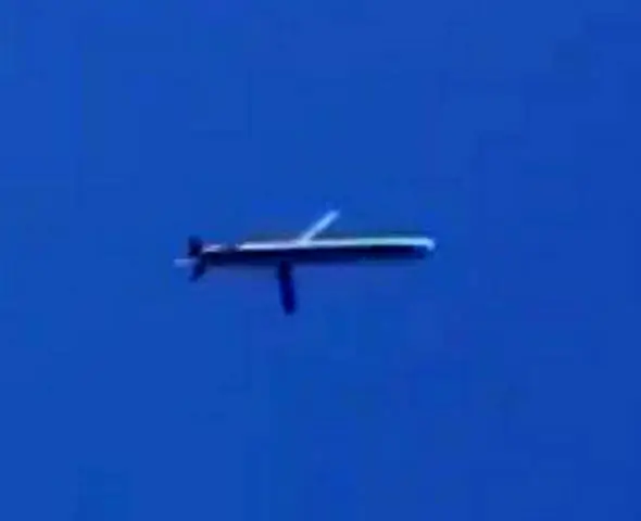 Над Ираном замечены ракеты США Tomahawk с крыльями, как у Су-47 "Беркут"