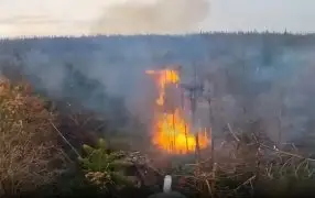 Дроны-камикадзе устроили "огненное шоу" на вражеской позиции САУ М109