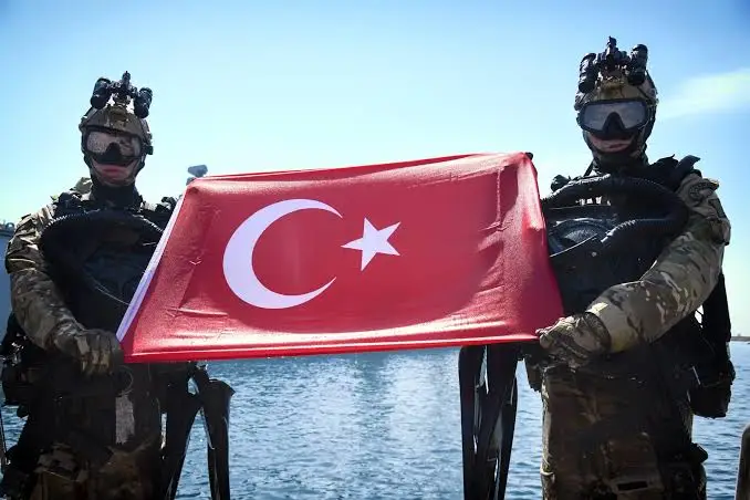 О военно-техническом сотрудничестве Турции с арабскими странами